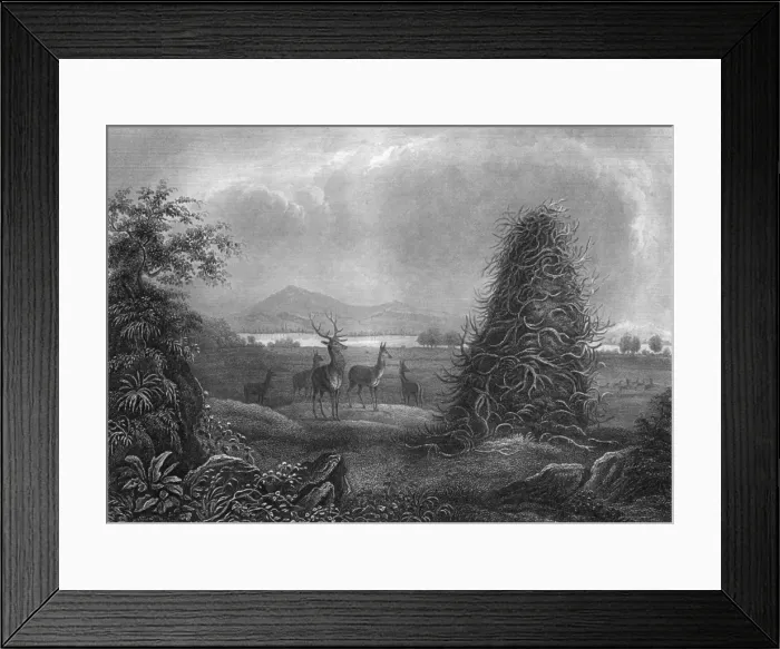 Framed Print : Elkhorn Pyramid Framed Print : Elkhorn Pyramid