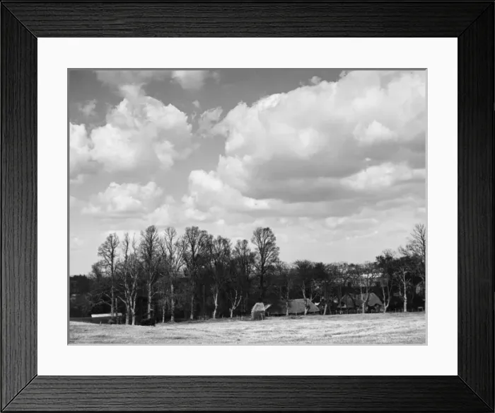 Framed Print : Dorset Countryside Framed Print : Dorset Countryside