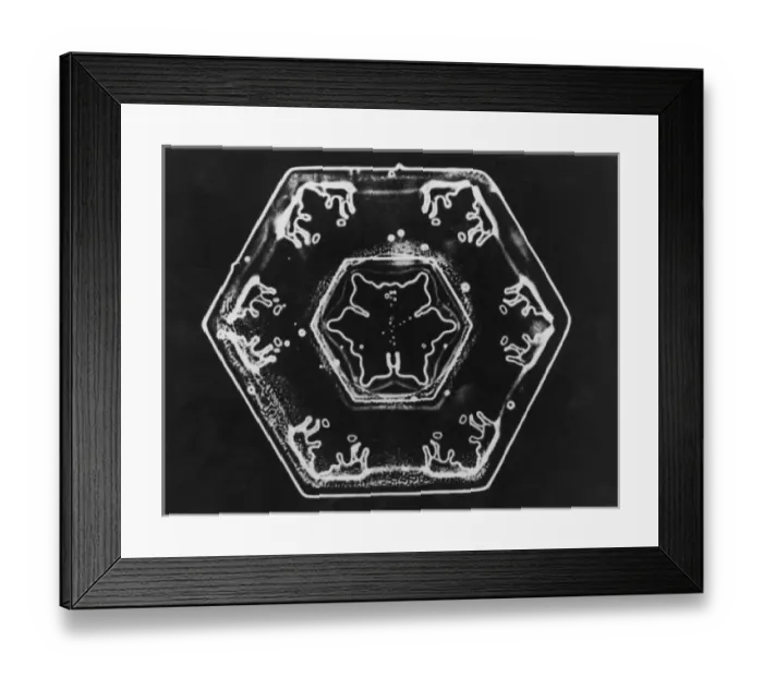 Framed Print : Ice Crystals Framed Print : Ice Crystals
