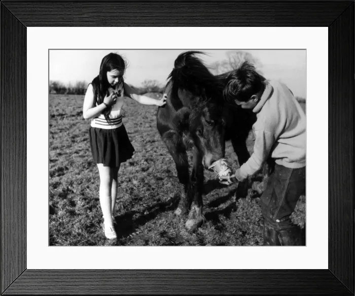 Framed Print : Children with Pony Framed Print : Children with Pony