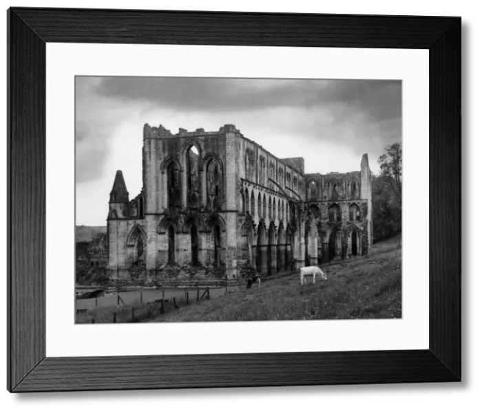 Framed Print : Rievaulx Abbey Framed Print : Rievaulx Abbey