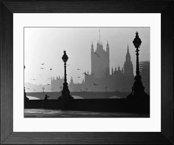 Framed Print : Thames Embankment Framed Print : Thames Embankment