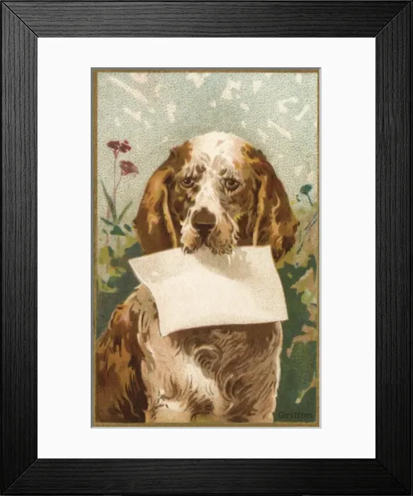 Framed Print : Dog and Blank - 1 Framed Print : Dog and Blank - 1