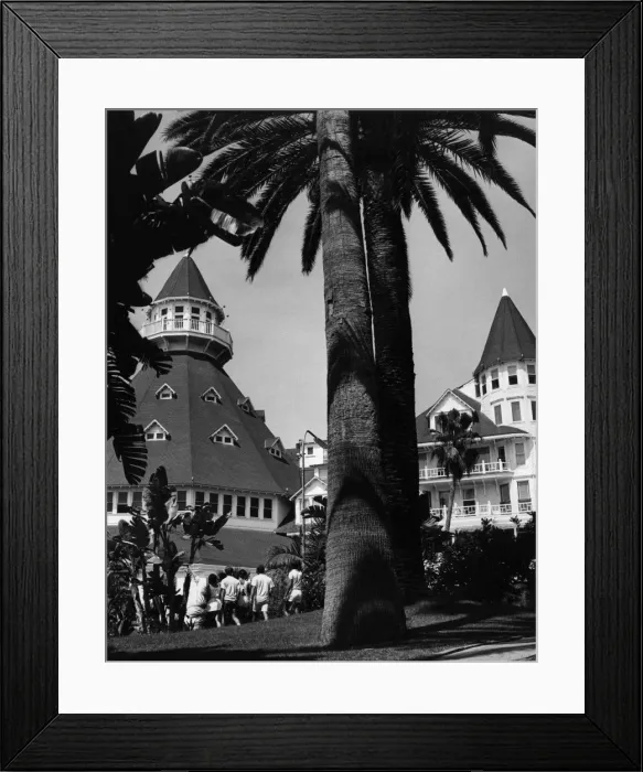 Framed Print : Hotel Del Coronado Framed Print : Hotel Del Coronado
