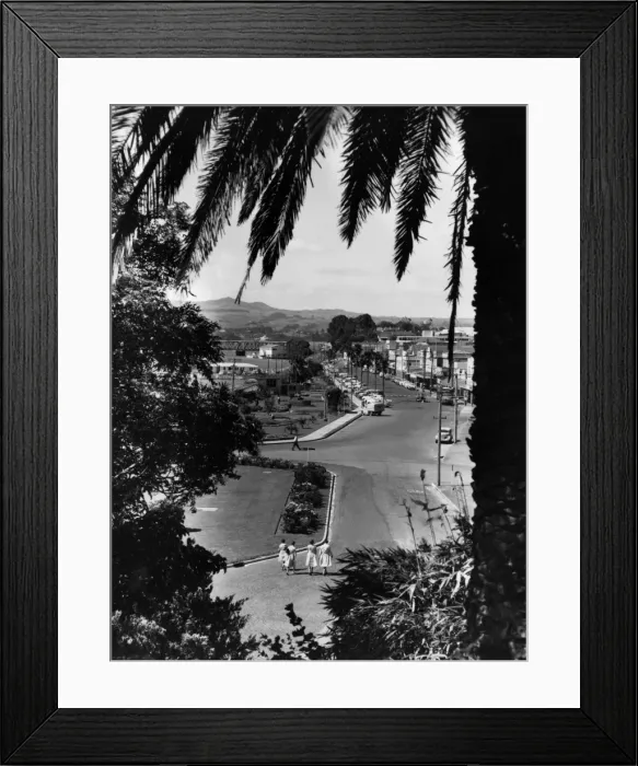 Framed Print : New Zealand / Tauranga Framed Print : New Zealand / Tauranga
