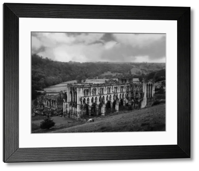 Framed Print : Rievaulx Abbey Framed Print : Rievaulx Abbey