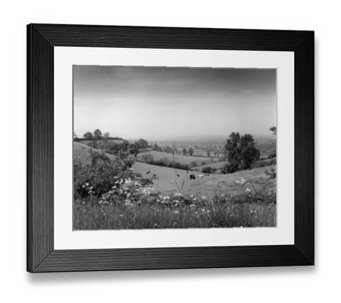 Framed Print : Warwickshire Scenery Framed Print : Warwickshire Scenery