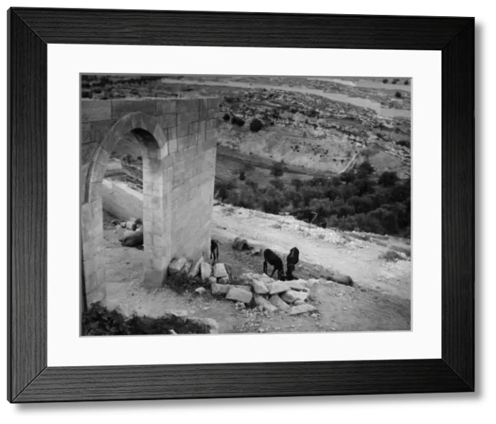 Framed Print : Jesrusalem / Gethsemane Framed Print : Jesrusalem / Gethsemane