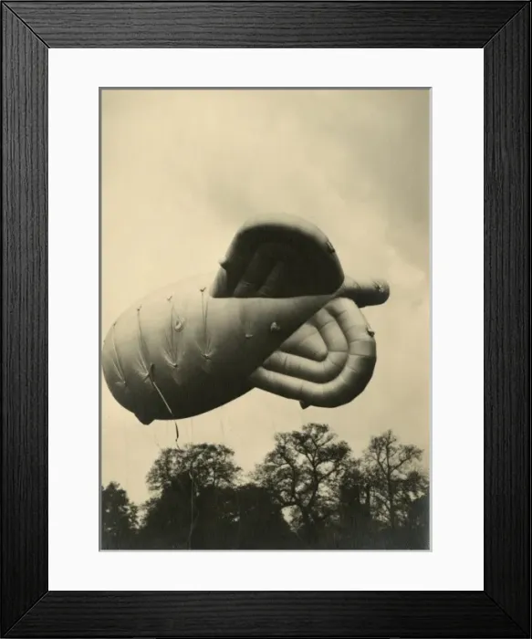 Framed Print : Barrage Balloon in Regents Park, London Framed Print : Barrage Balloon in Regents Park, London