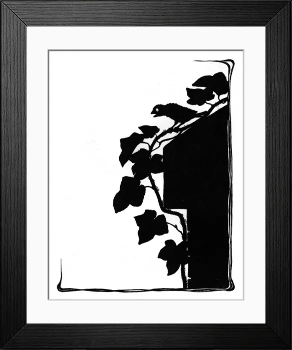 Framed Print : Jack Sparrow sitting on the ivy Framed Print : Jack Sparrow sitting on the ivy