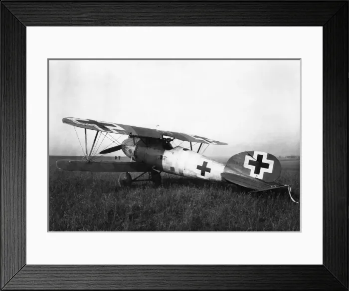 Framed Print : German Albatros D. V fighter plane, WW1 Framed Print : German Albatros D. V fighter plane, WW1