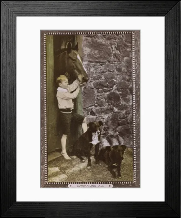 Framed Print : Companions All - Boy with Horse and pet dogs Framed Print : Companions All - Boy with Horse and pet dogs