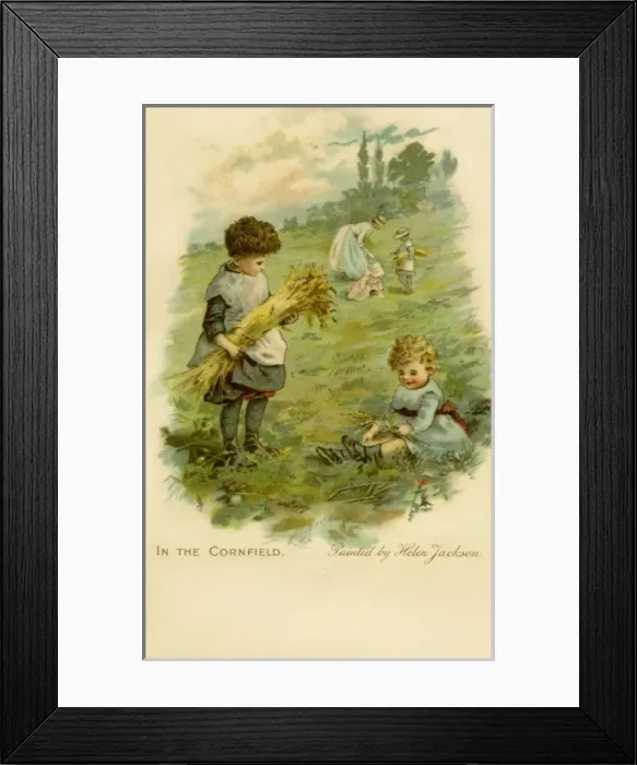 Framed Print : In the Cornfield Framed Print : In the Cornfield