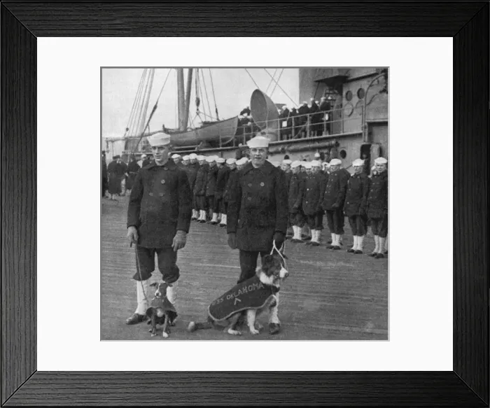 Framed Print : Wearing the chevrons of honor for services overseas Framed Print : Wearing the chevrons of honor for services overseas