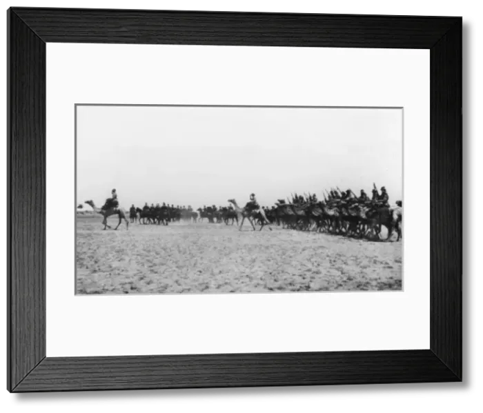 Framed Print : Australian Camel Corps in desert, Eastern Front, WW1 Framed Print : Australian Camel Corps in desert, Eastern Front, WW1