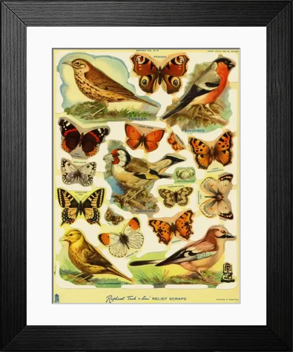 Framed Print : Birds & butterflies scraps Framed Print : Birds & butterflies scraps