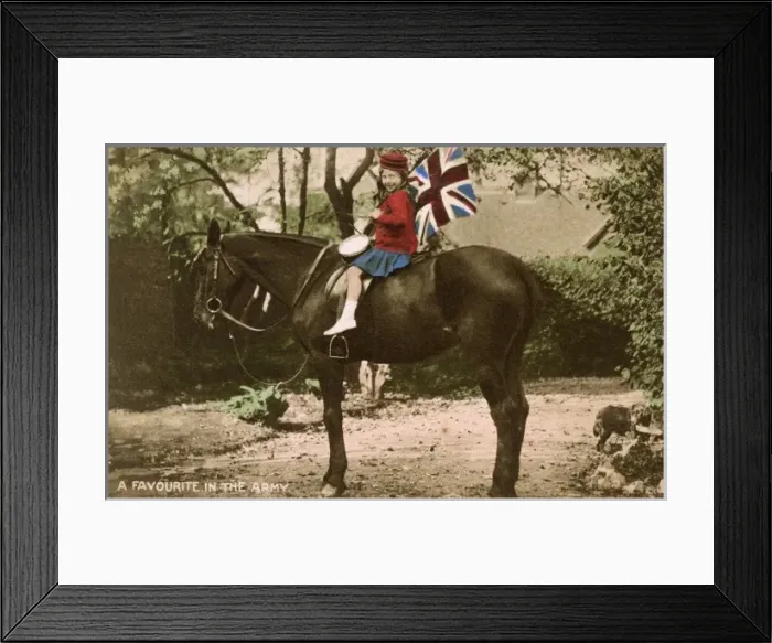 Framed Print : Little Patriotic Girl astride a cavalry horse Framed Print : Little Patriotic Girl astride a cavalry horse