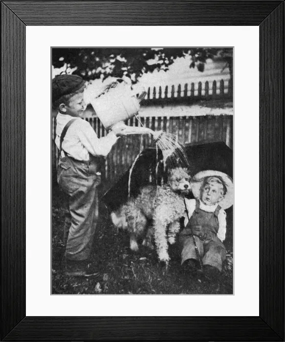 Framed Print : Two boys and a dog Framed Print : Two boys and a dog