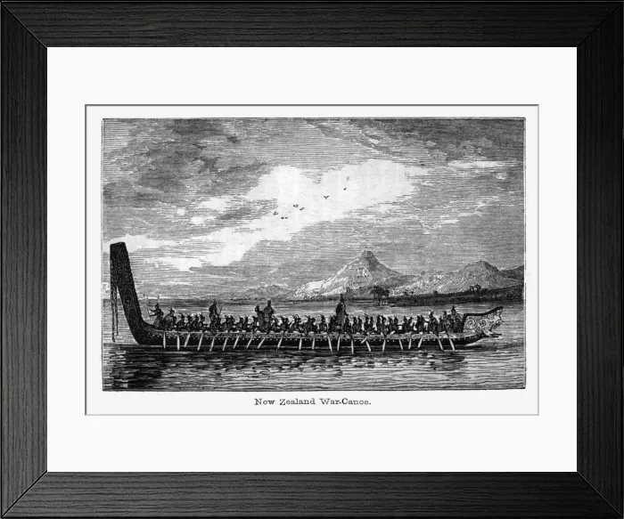 Framed Print : New Zealand war canoe Framed Print : New Zealand war canoe