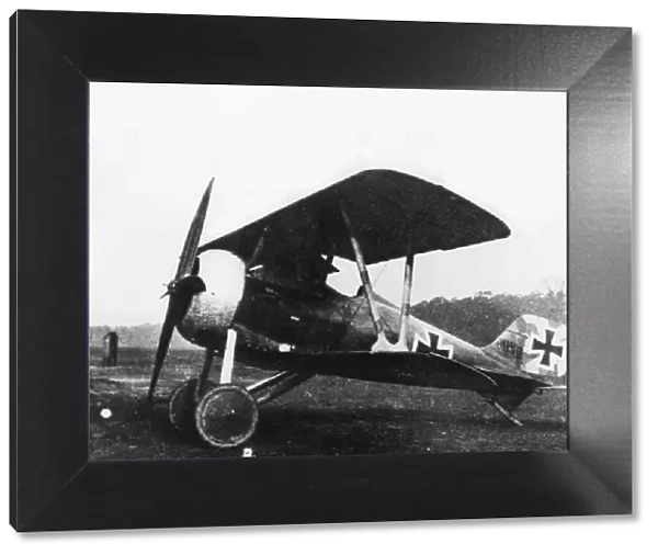 German Siemens Schuckert D. III fighter plane, WW1