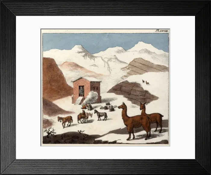 Framed Print : Mountain valley of Cuevas with llamas, Chile, South America Framed Print : Mountain valley of Cuevas with llamas, Chile, South America
