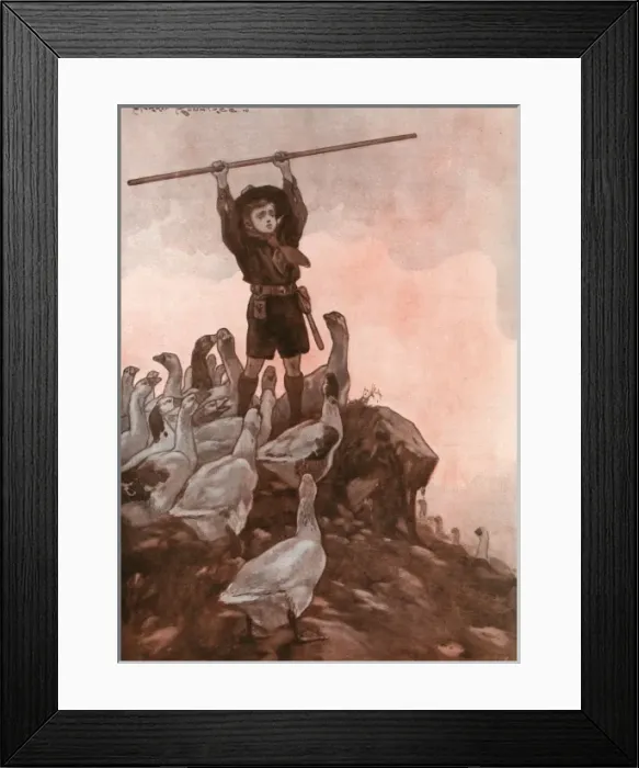 Framed Print : The Signal by Harry Rowntree Framed Print : The Signal by Harry Rowntree