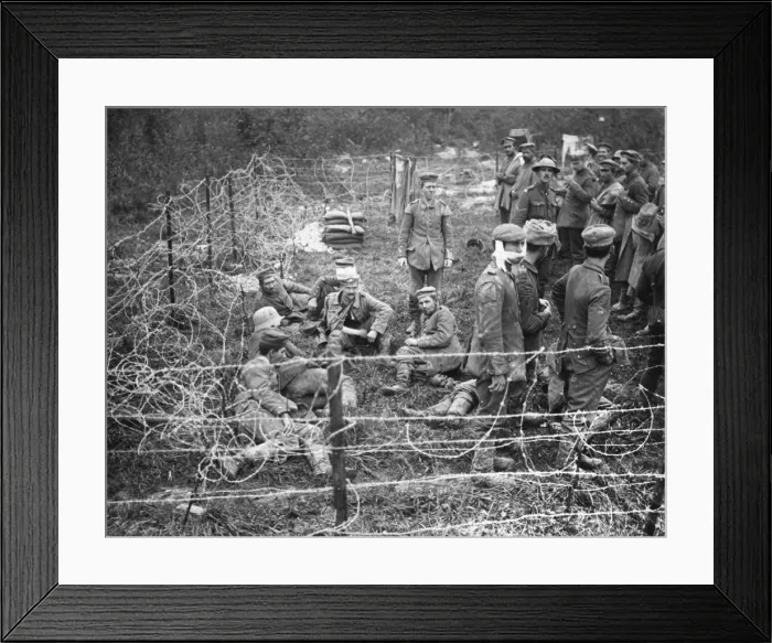 Framed Print : German prisoners captured at Ancre, France, WW1 Framed Print : German prisoners captured at Ancre, France, WW1