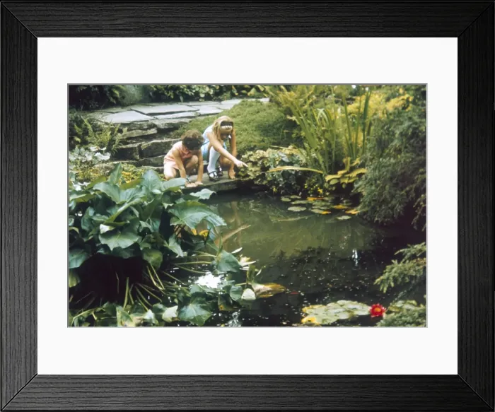 Framed Print : Wisley Rock Garden Framed Print : Wisley Rock Garden