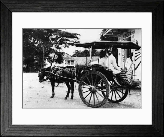 Framed Print : Javanese Horse Cab Framed Print : Javanese Horse Cab
