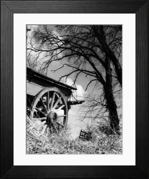 Framed Print : END OF THE DAY Framed Print : END OF THE DAY