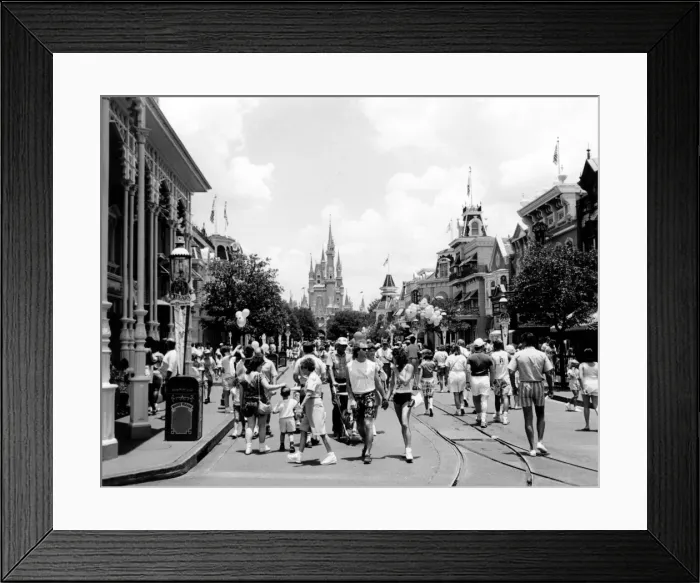 Framed Print : Disneyworld, Florida Framed Print : Disneyworld, Florida