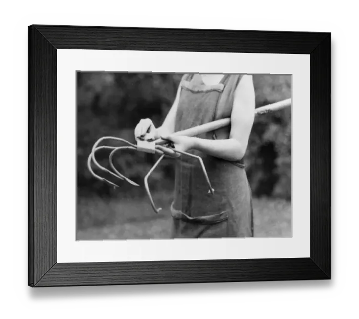 Framed Print : Adjustable Garden Hoe Framed Print : Adjustable Garden Hoe