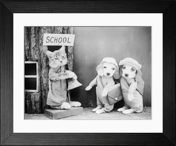 Framed Print : Puppies Going to School