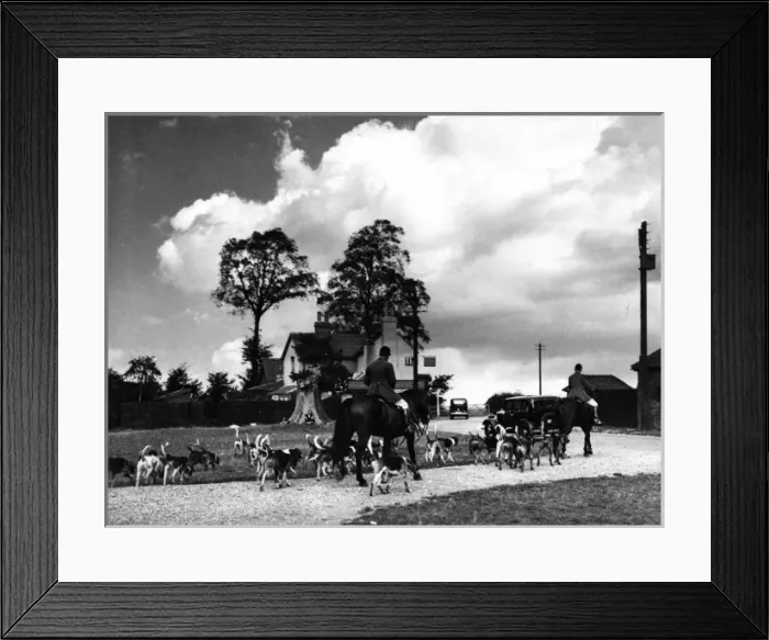 Framed Print : Essex Foxhounds Meet Framed Print : Essex Foxhounds Meet
