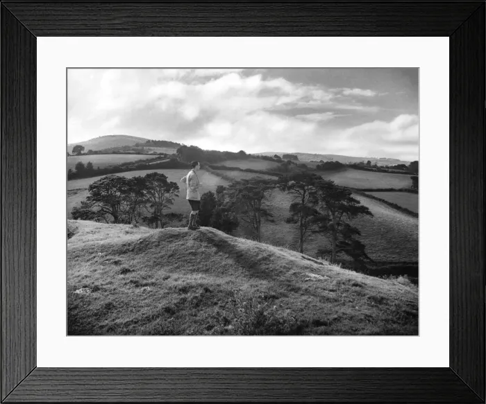 Framed Print : Quantocks Rambler Framed Print : Quantocks Rambler