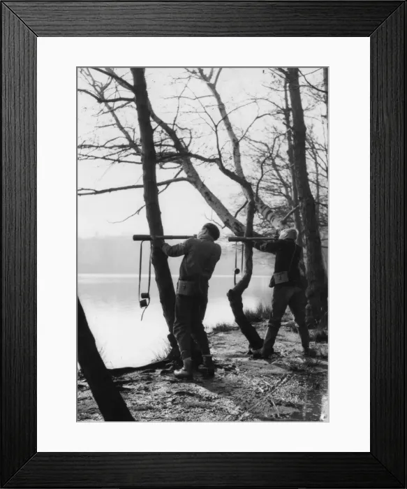 Framed Print : Young Birdwatchers Framed Print : Young Birdwatchers