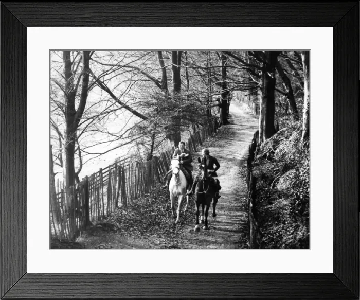 Framed Print : Autumn Horse Ride Framed Print : Autumn Horse Ride