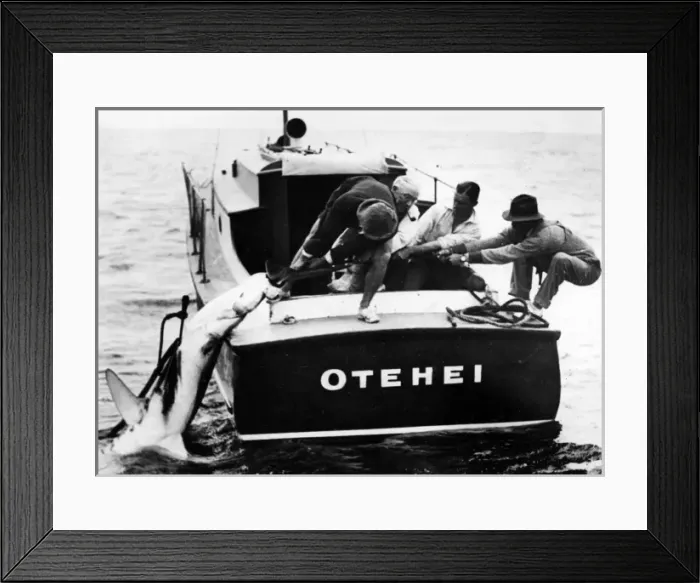 Framed Print : Swordfish Haul Framed Print : Swordfish Haul