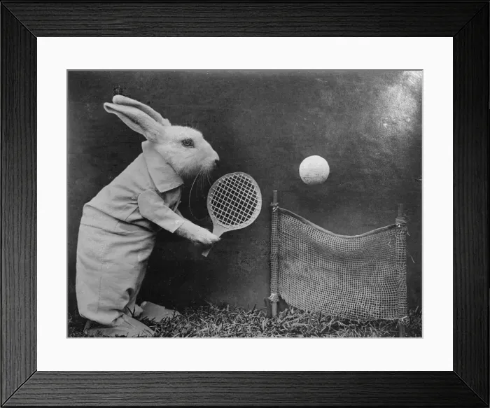 Framed Print : Buuny Tennis Framed Print : Buuny Tennis