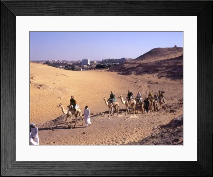 Framed Print : Tourists on Camels Egypt Framed Print : Tourists on Camels Egypt