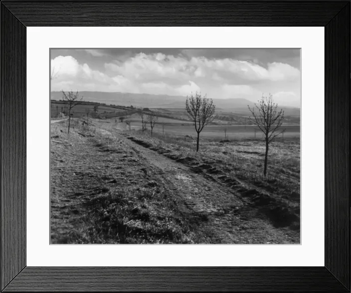 Framed Print : Icknield St. Roman Road Framed Print : Icknield St. Roman Road