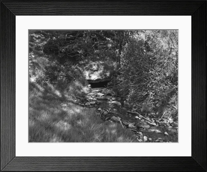 Framed Print : Meadow Spring Framed Print : Meadow Spring