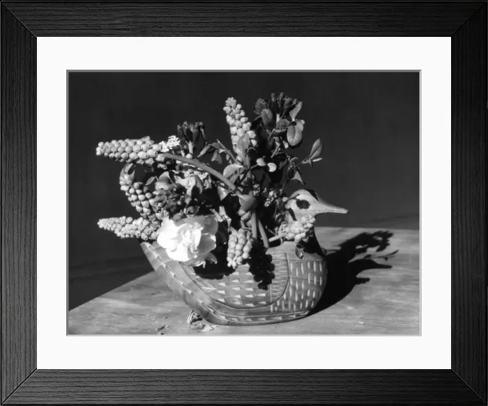 Framed Print : Duck Basket Arrangement Framed Print : Duck Basket Arrangement