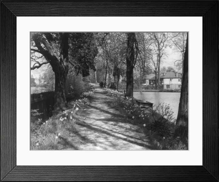 Framed Print : Enfield River Path Framed Print : Enfield River Path