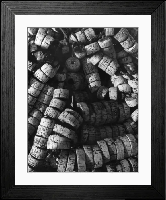 Framed Print : Cork Floats Framed Print : Cork Floats