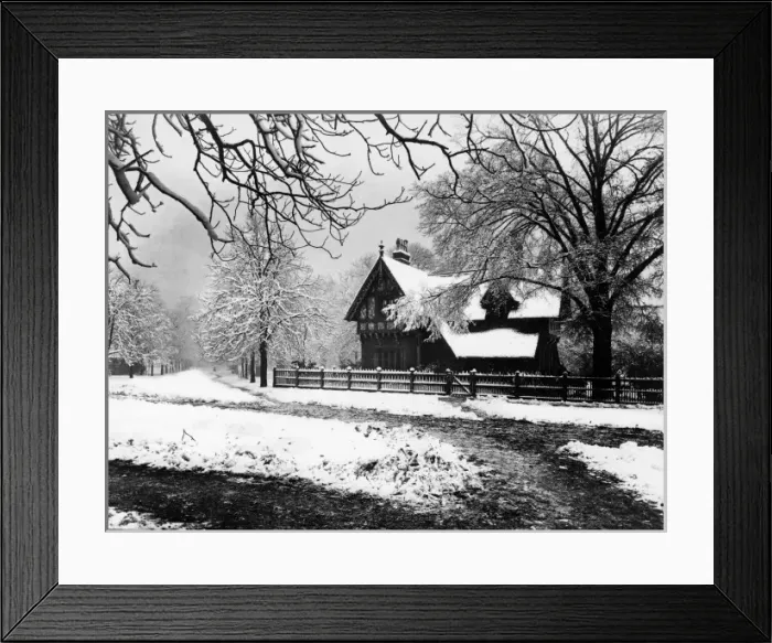 Framed Print : Greenwich Park Framed Print : Greenwich Park