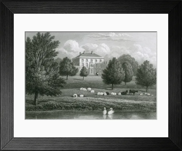 Framed Print : Maple Hayes, Staffordshire Framed Print : Maple Hayes, Staffordshire