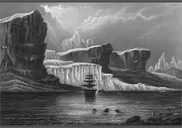 Greenland Melville