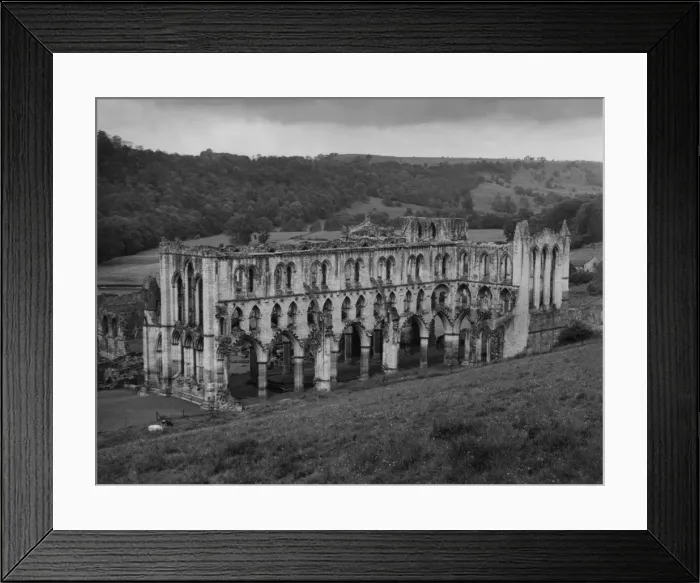 Framed Print : Rievaulx Abbey Framed Print : Rievaulx Abbey