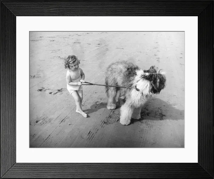 Framed Print : BEACH PALS Framed Print : BEACH PALS